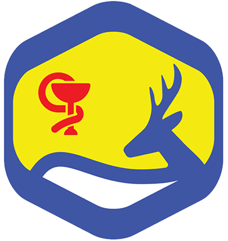 Logo Icon